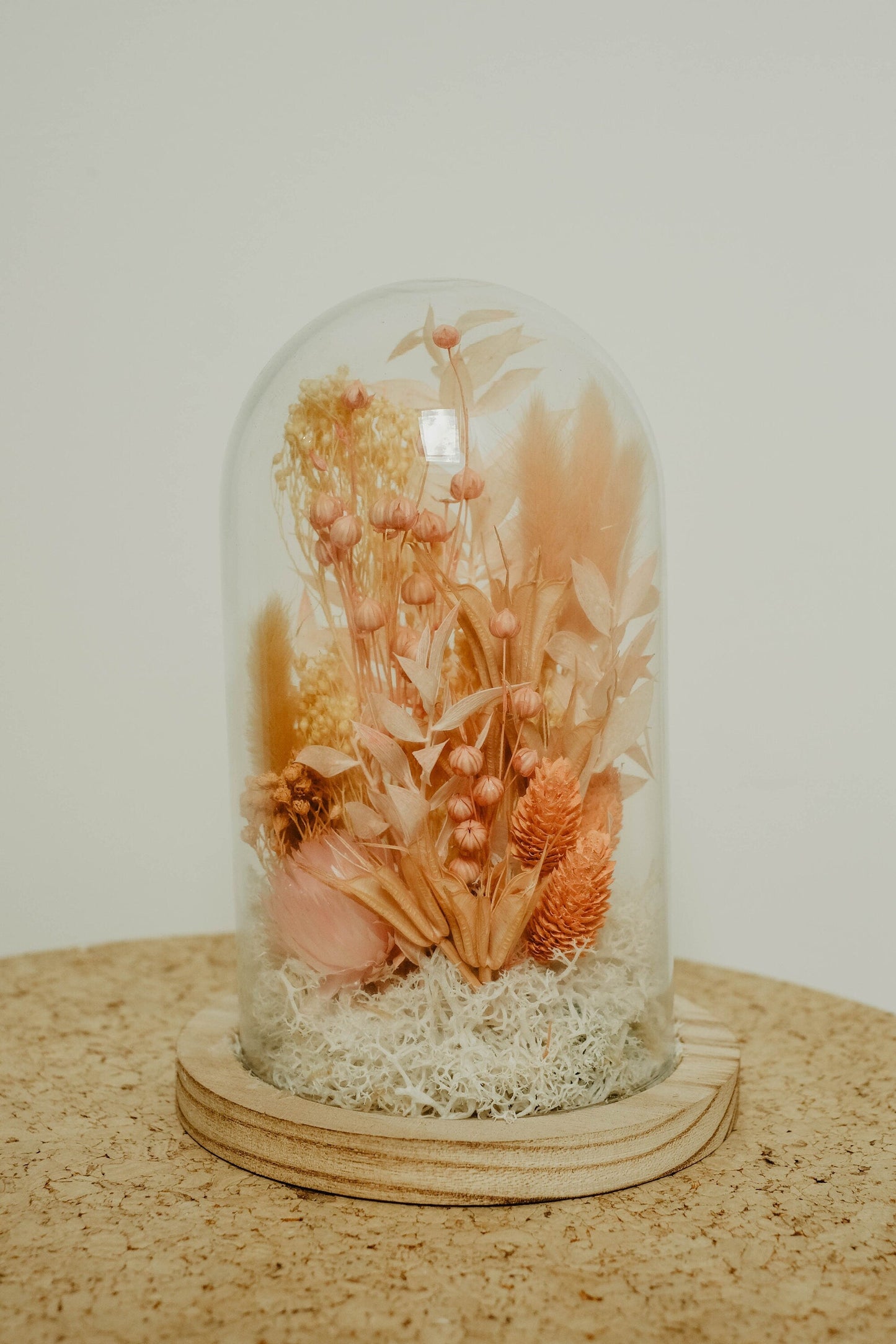 Cloche " SANDRO " décoration d' intérieur en fleurs séchées rose, corail, poudre, nude Product vendor