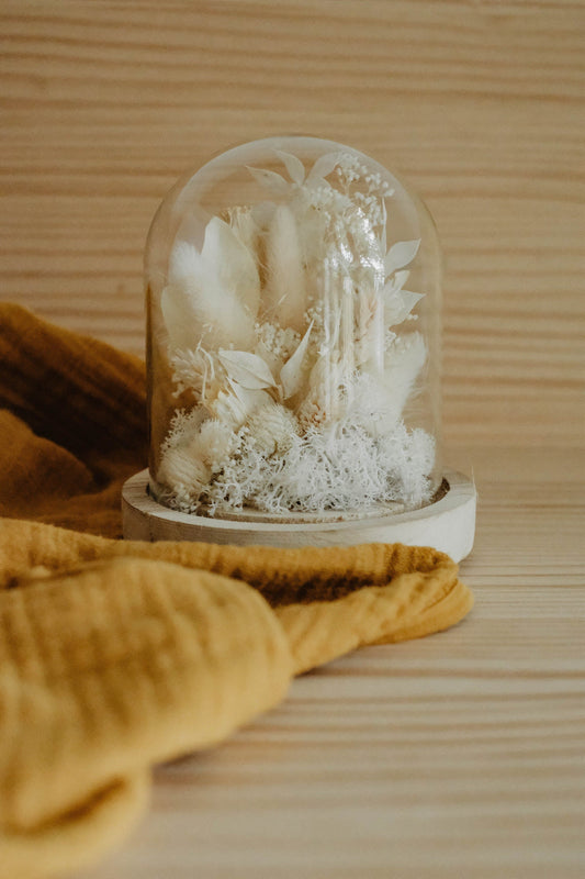 Cloche " ELIO " décoration d'interieur en fleurs séchées, BLANC Product vendor