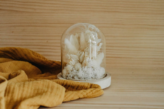 Cloche " ELIO " décoration d'interieur en fleurs séchées, BLANC Product vendor