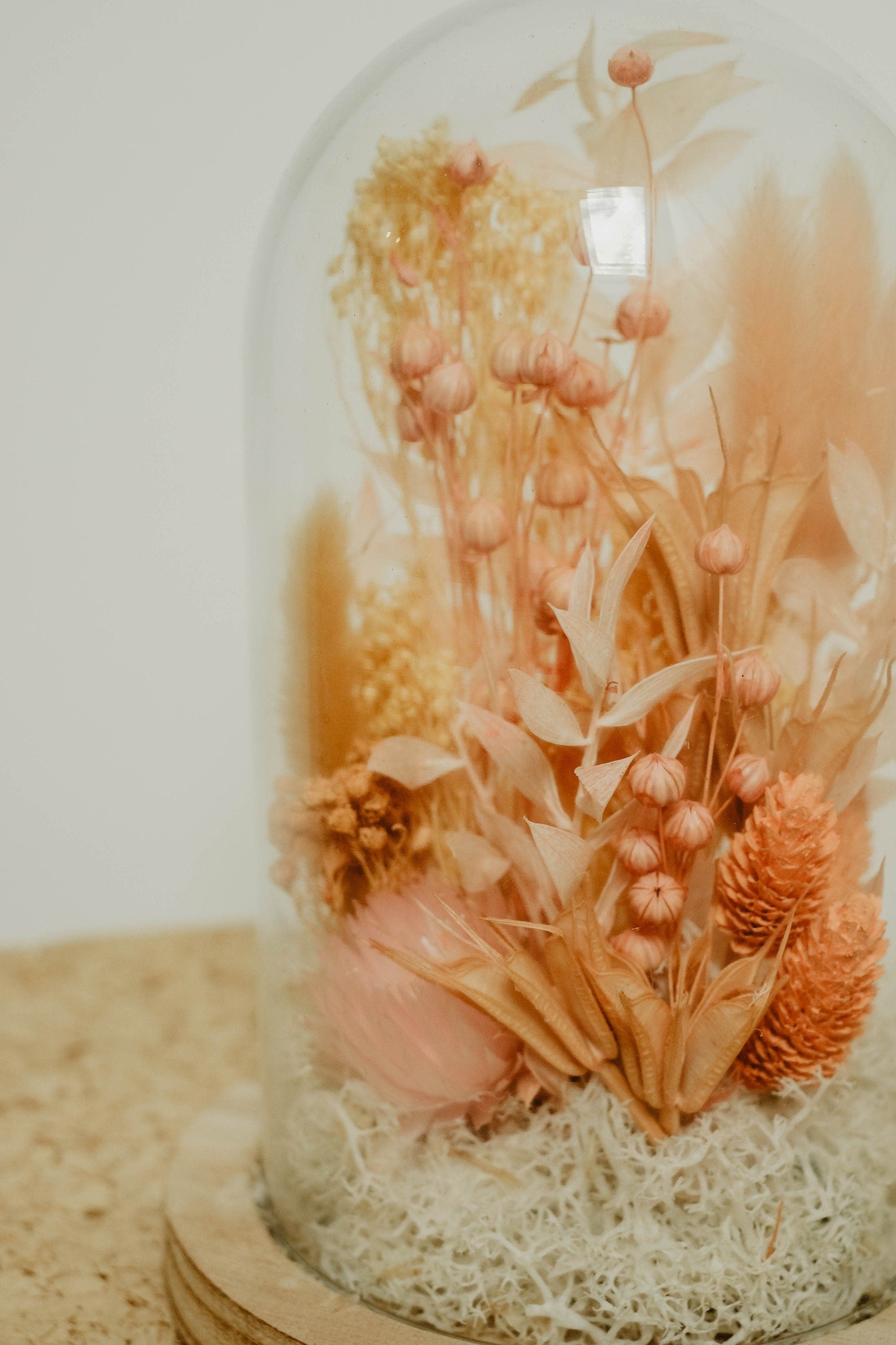 Cloche " SANDRO " décoration d' intérieur en fleurs séchées rose, corail, poudre, nude Product vendor